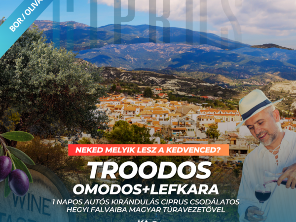 Omodos- Lefkara-Troodos Egész napos privát autós kirándulás Ciprus hegyvidéki arcához